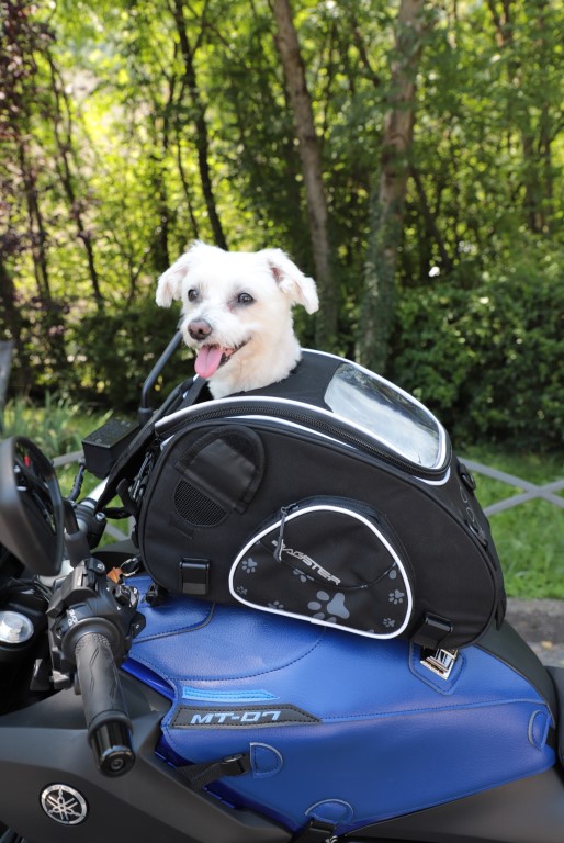Bolsa de depósito Bagster PUPPY com cão de pequeno porte, projetada para transporte seguro e confortável em viagens de moto, com aberturas para ventilação e visibilidade.